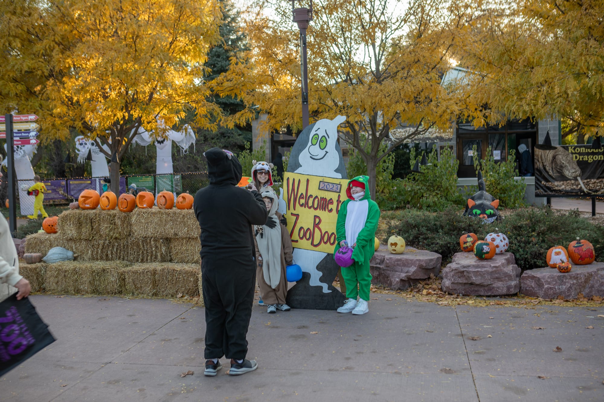 How to find fall fun with the zoo, butterfly house