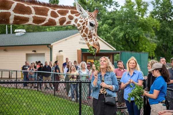 These reimagined zoo events aim to make conservation fun